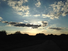 Photos taken on your cycle.