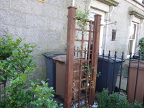 How do you hide your wheely bins?