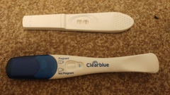 Are these pictures a good sign?