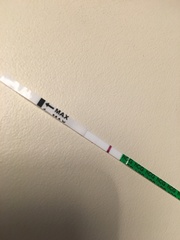 TTC #2 (September BFPs)