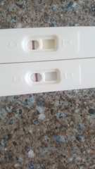 Pregnancy