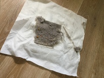 Feedback Thread for the Vorwerk Kobold VK200 Vacuum Cleaner Testers