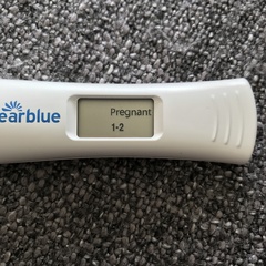 TTC #2 (August bfps)