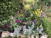 Buying a house with a NW facing garden