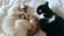 Cute pic alert