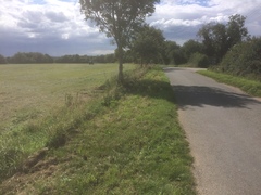 Photos taken on your cycle.