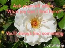 Enrol now for September 2017 Joyful Mums Five Week Course in Wimbledon. Taster Session @£15 on Thurs. 7 September at 
7pm