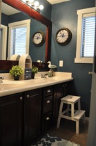 Does anyone have a dark dramatic bathroom?