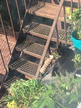 Cats still catting away part 5