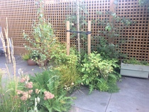 The Landscapers are here, it is better than the arrival of Santa