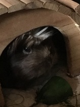 Pre-summer Bootcamp - our last weigh-in!