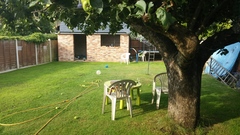 Garden design tips needed! Pictures attached.