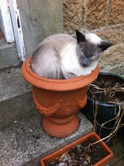 Pre-summer Bootcamp - our last weigh-in!