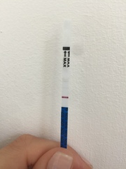 TTC faint HCG test +??
