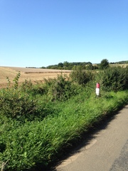 Photos taken on your cycle.