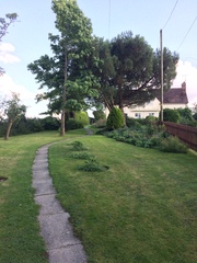 What should I plant here?