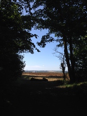 Photos taken on your cycle.