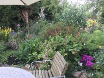 Buying a house with a NW facing garden