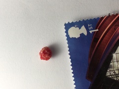 Would you like to see what I just got out of my arm?