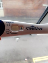 Possibly pregnant? Can you see a line?