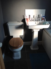Does anyone have a dark dramatic bathroom?