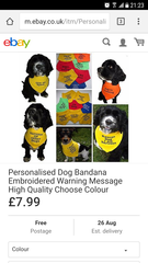 Nervous dog jacket - any good?