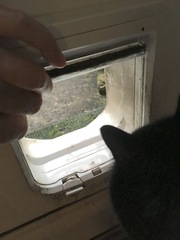 Cat flap issue - can anyone advise on brand compatibility