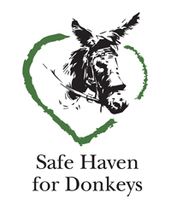 Online Auction for Safe Haven for Donkeys