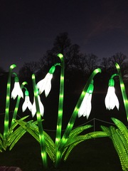 Longleat at Christmas