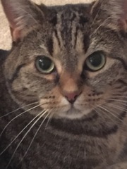 The Friendly Frugaleers, watching the pennies as we wait for sunshine!