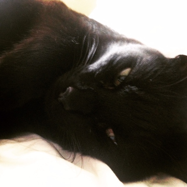 Facebook Live with Dermot O'Leary: Monday 25 September, 1pm