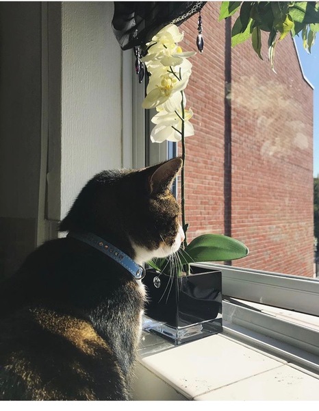 Facebook Live with Dermot O'Leary: Monday 25 September, 1pm