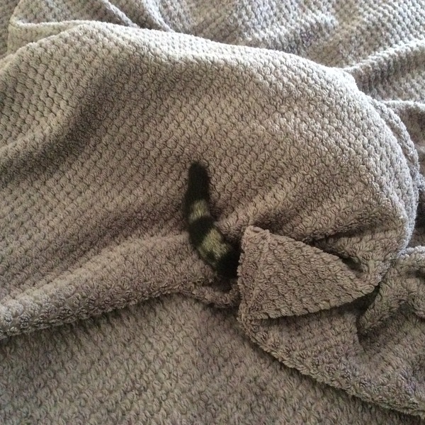 Still frugaleering into Autumn.....