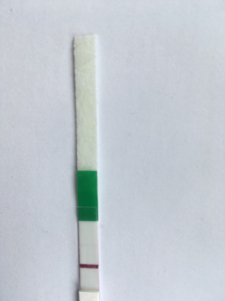 TTC #2 (September BFPs)