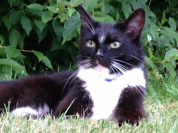 Facebook Live with Dermot O'Leary: Monday 25 September, 1pm