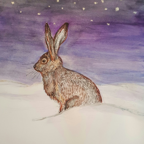 What do you like to see on a Christmas Card??