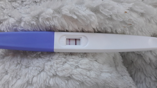 Line colour indicate weeks?