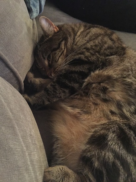 Still frugaleering into Autumn.....