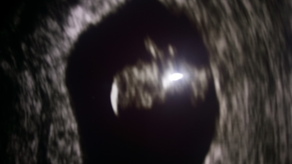 Babies due in April 2018