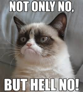 To wonder if no knickers with tights is a thing?