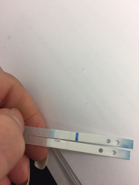 anyone else just fucked off with this lark and want to moan?