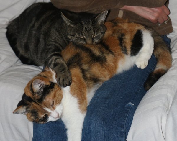 Swagger Inn 150: The one where the wenches do Strike (analysis) and that Santi Salvation thing.