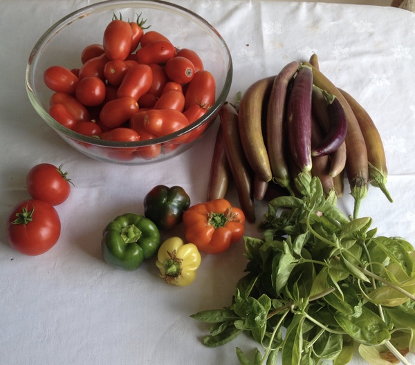 Allotment/Veg patch thread 11 'We bid  farewell to rainbow leaves but will keep plotting along'