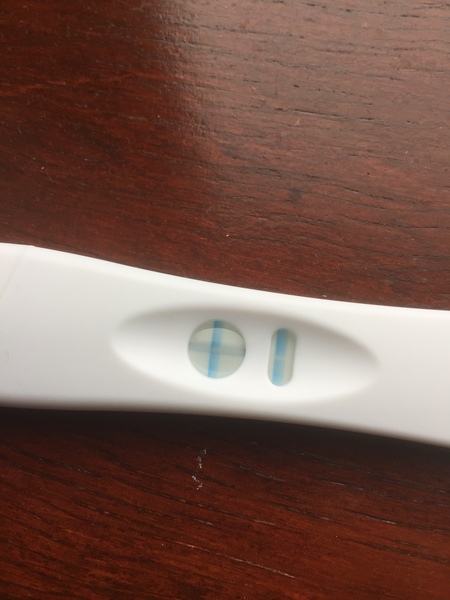 TTC #2 (September BFPs)