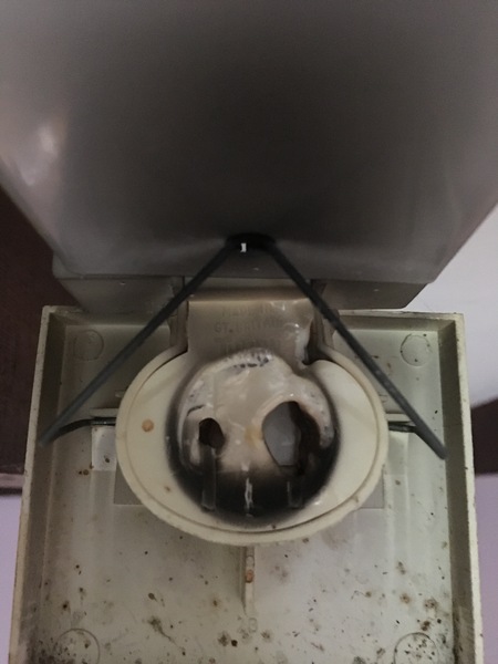 To tell my landlord to fuck off