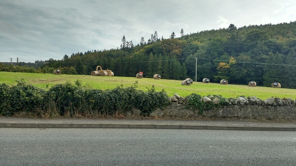 Photos taken on your cycle.