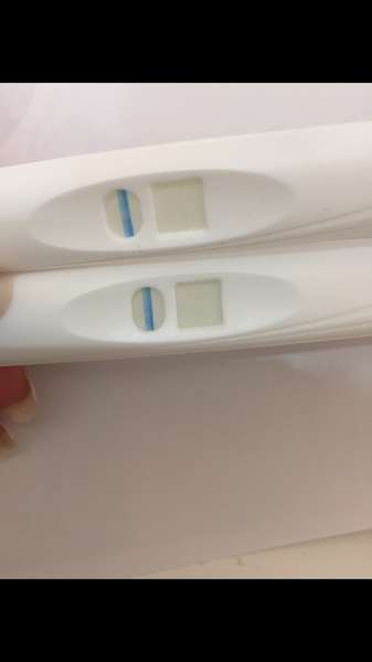 anyone else just fucked off with this lark and want to moan?