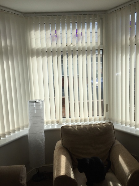 New blinds help !