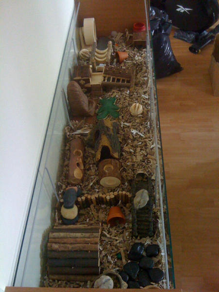 To not want to spend £55 on a hamster cage?