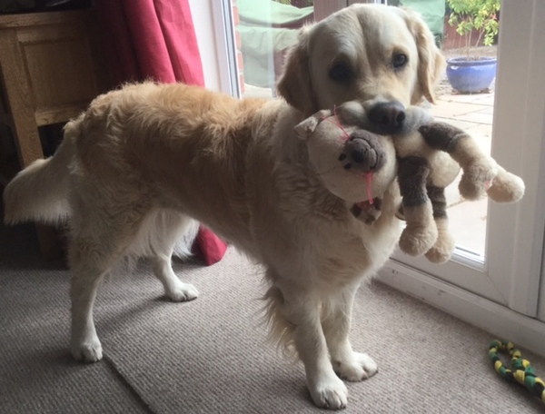 Quick one about hair bands that look like plastic coil thingies...